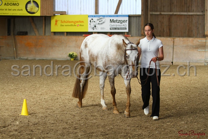 24-ApHC HIH_010.jpg